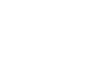 HLA LOGO (2) cópia